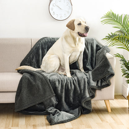 Pet Snuggle Shield