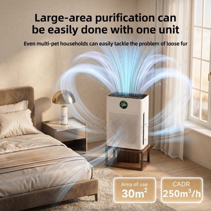 Night Reset Air Purifier